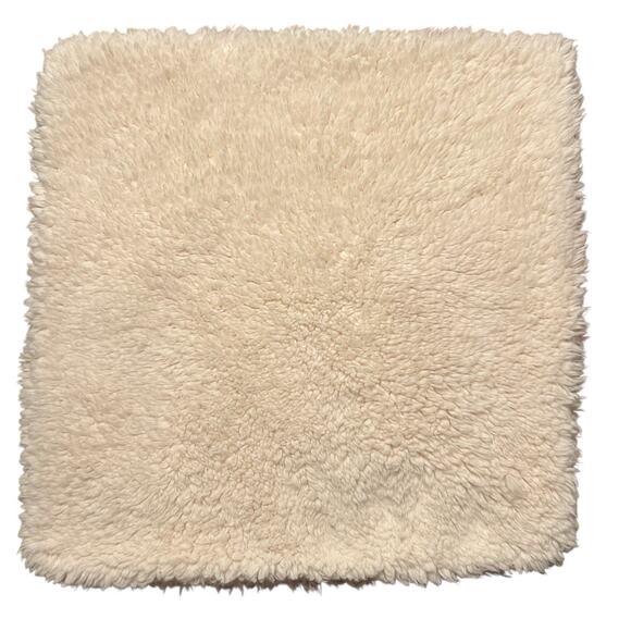 Pottery Barn Square Sham 18" x 18" Fluffy Fleece Zippered Pillow Case Plush (17) - Picture 1 of 8